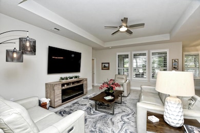 Living area featuring a tray ceiling and ceiling fan