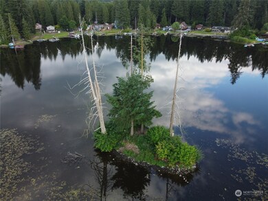1 Island @ Lake Whitman, Graham, WA 98338 - photo 3