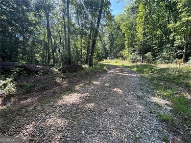 View of road featuring a forest view
