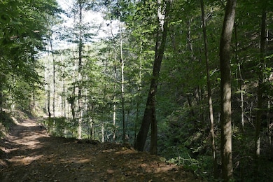 TBD Upper Possum Creek Rd, Gate City, VA 24251 - photo 4