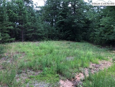 Lot 212 Casey Mountain Rd, Purlear, NC 28665 - photo 3