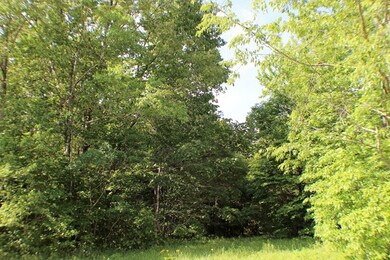 44.25 ac Falling Water Rd, Cookeville, TN 38506 - photo 4