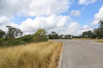 8806 Terra Mont Way, San Antonio, TX 78255 - photo 3