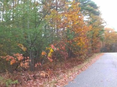 46 Carrolls Pit Rd, Newfield, ME 04095 - photo 6