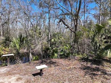 4278 Woods Creek Rd, Perry, FL 32347 - photo 7