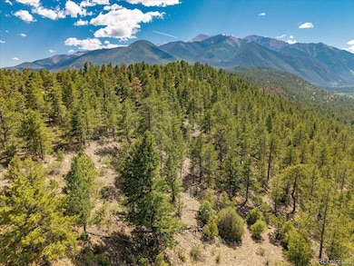 000 Oppliger Dr, Nathrop, CO 81236 - photo 5