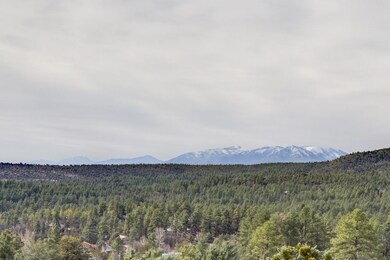 Mountain & forest views