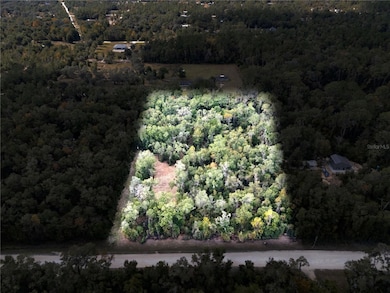 TBD NE 111th Ave, Archer, FL 32618 - photo 2