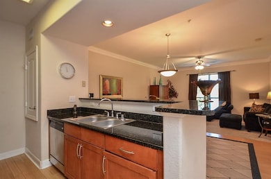 City Plaza at Town Square unit 201, Sugar Land, TX 77479 - photo 4