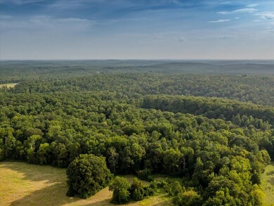 1562 Hadley Mill Rd, Fearrington, NC 27312 - photo 4