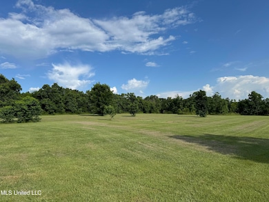 4315 Tank Rd, Terry, MS 39170 - photo 6
