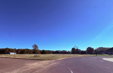 Lot 5 N Port Dr, Monett, MO 65708 - photo 5