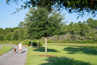 WSO- Walking Trail