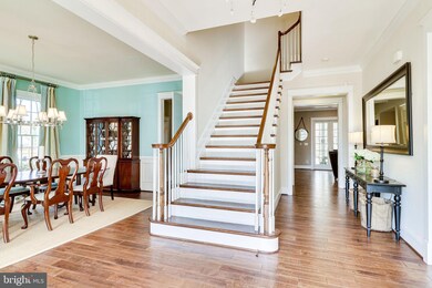 8707 Winthrop Dr, Alexandria, VA 22308 - photo 5