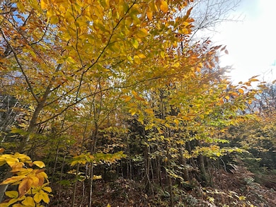 000 Pinewood Rd, McMillan Township, MI 49868 - photo 3