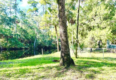 1408 Palm St NE, Steinhatchee, FL 32359 - photo 3