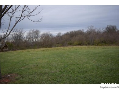 1240 Merritt Rd, Jacksonville, IL 62650 - photo 4