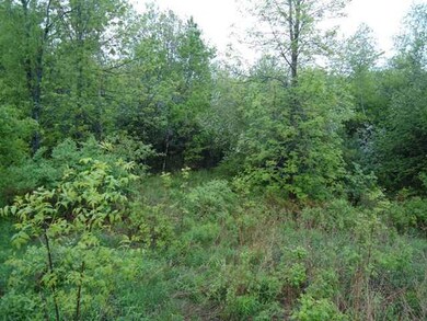 Land/Lot.