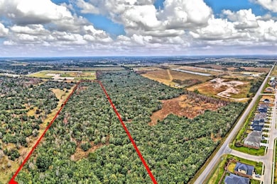 17448 Bauer Rd, Cypress, TX 77447 - photo 6