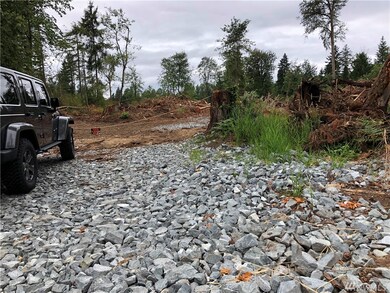 27148 Meridian E, Graham, WA 98338 - photo 4