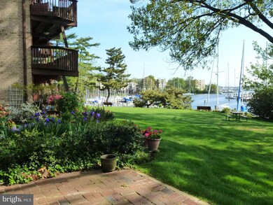 764 Fairview Ave unit B, Annapolis, MD 21403 - photo 5