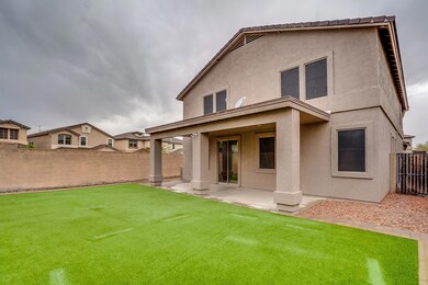 Backyard - Turf