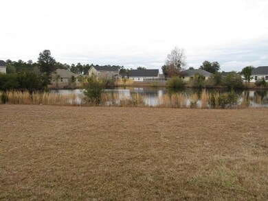 208 Victorian Lake Dr, Brunswick, GA 31525 - photo 3