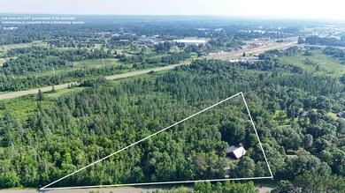 Aerial view of property's location featuring a heavily wooded area and property boundaries highlighted