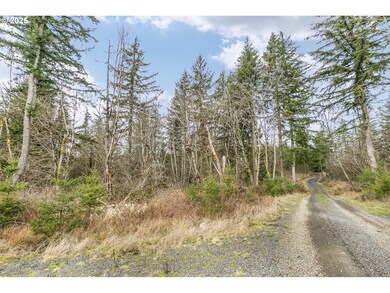 142 Maplecreek Ln, Chehalis, WA 98532 - photo 5