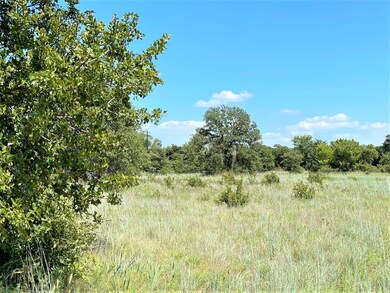 1200 Ross Ln, Springtown, TX 76082 - photo 6