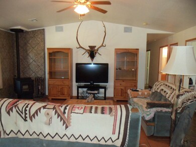 4375 Highway 15, Silver City, NM 88061 - photo 7