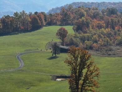 DJI_20241022201203_0006_D