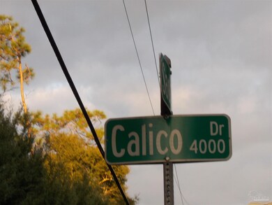 4000 Calico Dr, Cantonment, FL 32533 - photo 2