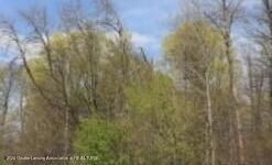 2611 Navigator, Lansing, MI 48911 - photo 6