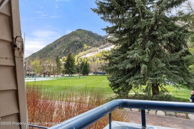 301 E Hyman Ave unit 202, Aspen, CO 81611 - photo 5