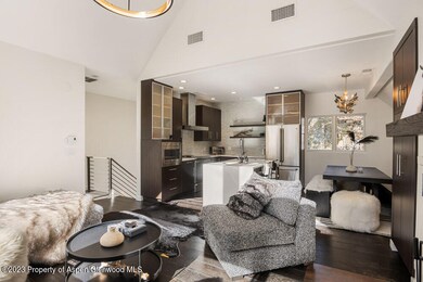 222 W Hopkins Ave unit 6, Aspen, CO 81611 - photo 2