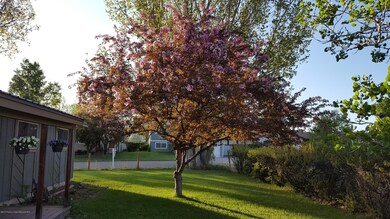 Cedar Circle (2)