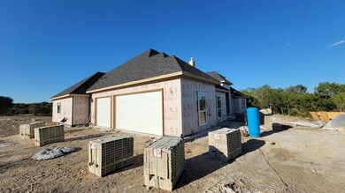 4036 Overlook Way, Weatherford, TX 76085 - photo 5