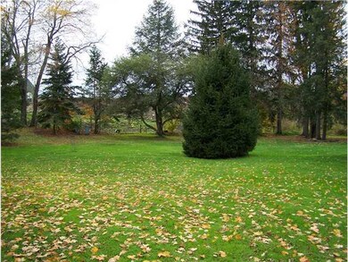 Yard/Garden