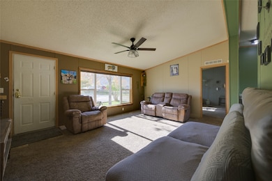 Carpeted living room featuring crown molding, a textured ceiling, lofted ceiling, and ceiling fan