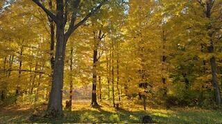 2200 Riverside Fall
