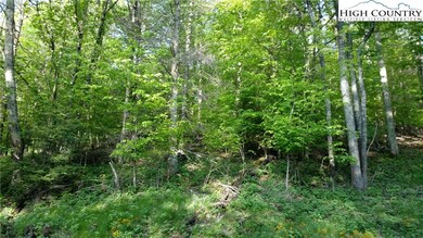 Looking downhill from Foxgrape Hollow Road.
