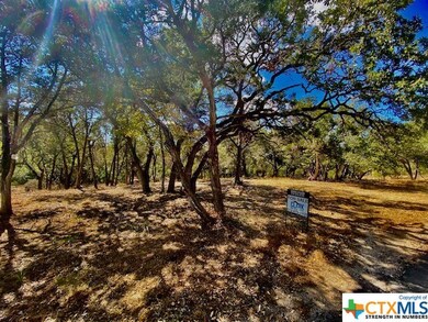 0 Rockwood unit 521855, Wimberley, TX 78676 - photo 4