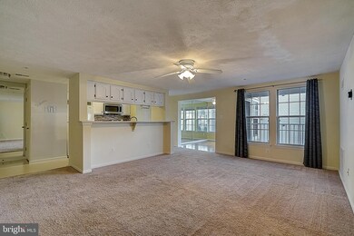 6205 Sandpiper Ct unit 205, Elkridge, MD 21075 - photo 4