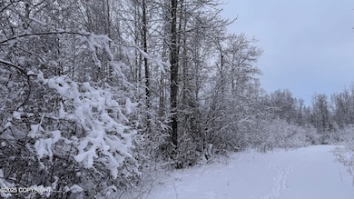 L 735 S Tussle Cir, Willow, AK 99688 - photo 7