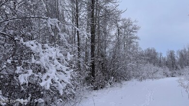 No Number S Tussle Cr Cir, Willow, AK 99688 - photo 7