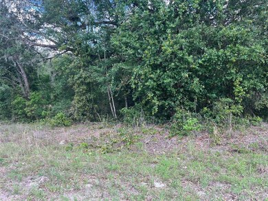 00 SW 108th St, Dunnellon, FL 34432 - photo 7
