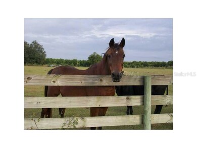 Other - Pasture area