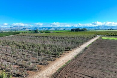 0 S Crawford Ave, Reedley, CA 93654 - photo 7