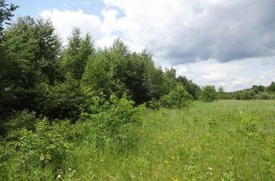 Near State Highway 86, Tomahawk, WI 54487 - photo 2